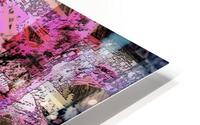 Akasha Antonym HD Metal print