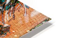 Kuluularuk HD Metal print