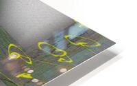 Zebra Fell Down a Well HD Metal print