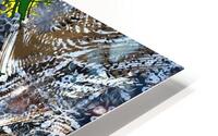 Fossilized Tubaiste HD Metal print