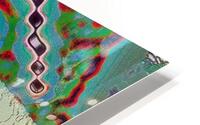 Oneiric Darwinistic Playtime HD Metal print