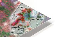 The Ecstatic Corybantic HD Metal print