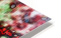 Methinks the Scrying Glass is Lying HD Metal print
