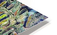 Cabbageworm Day Trip HD Metal print