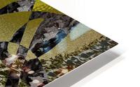 Celaya HD Metal print