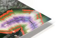 Unidentified Sky Snakes HD Metal print