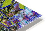Predilection for Anamorphic Disaster HD Metal print