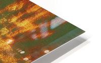 Reformatted Wilderness HD Metal print