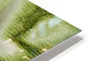 Falling to Final Rest HD Metal print