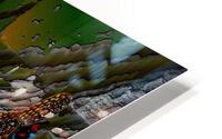 Dragon Daycare HD Metal print