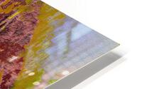 Sails HD Metal print