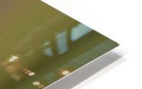 Inanis et Null HD Metal print