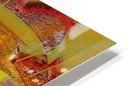 Ruby Tango Mandarin Algorithms HD Metal print