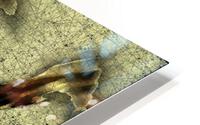 Giraffes HD Metal print