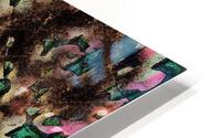 Dentro Poveglia HD Metal print