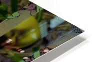 Brussels Sprouts HD Metal print