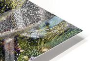 Timbre Floating & Fallen HD Metal print