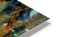 Mangosteen HD Metal print