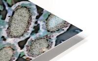 Next HD Metal print