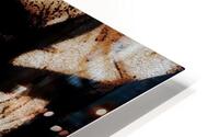 Epiboulos HD Metal print