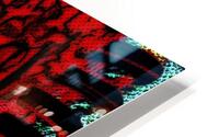 Cancri Locustas HD Metal print