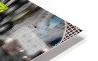 Passing Stegosaurus HD Metal print