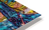 Pretendinitis HD Metal print