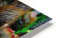 Pleochroic Cacti HD Metal print