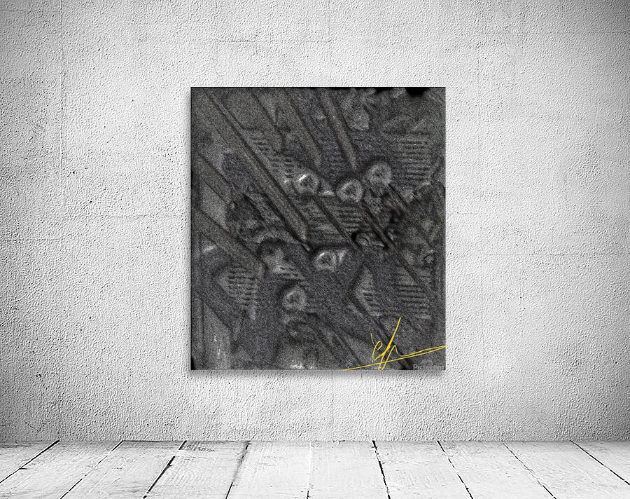 Approximately 250 Kilometers From Manaus Wall Preview