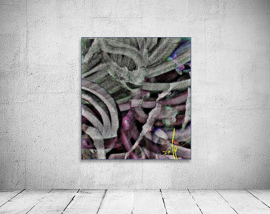 Sorbet Waves Wall Preview