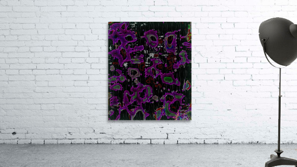 What Sharon Graffia Stole Wall Preview