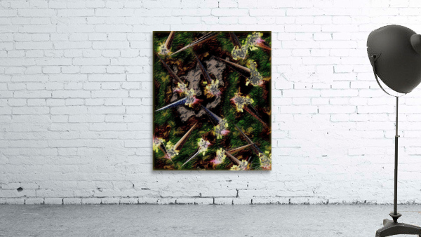 Defensus Planta Wall Preview