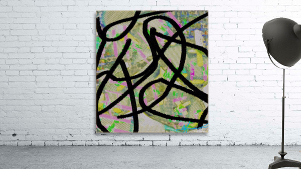 Black Rat Snake Interruption Wall Preview