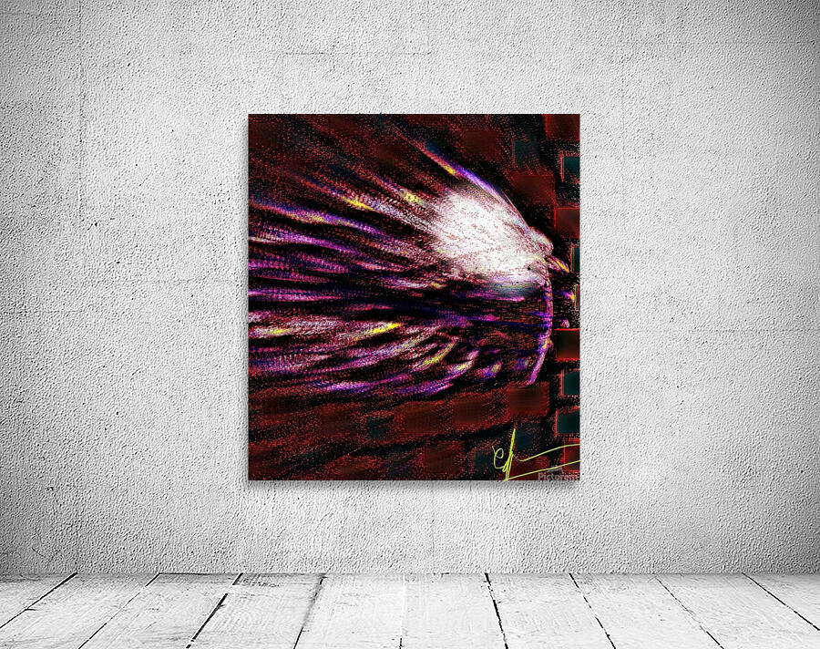 M42 Wall Preview