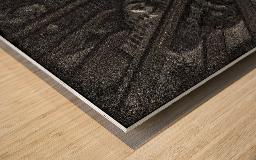 Approximately 250 Kilometers From Manaus Wood print