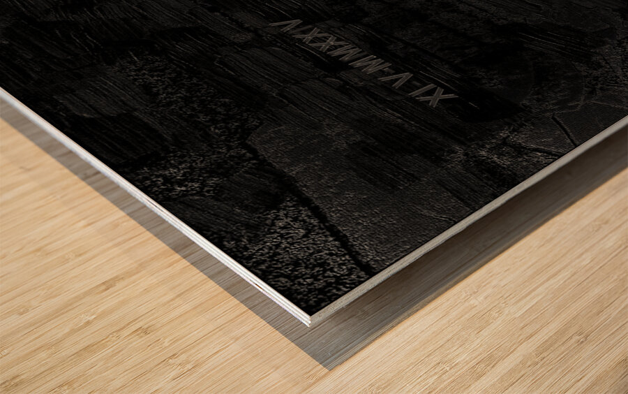 Ellipsis Wood print