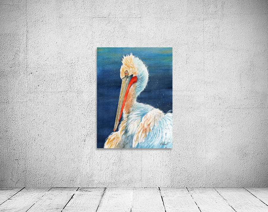 A Florida Pelican Wall Preview