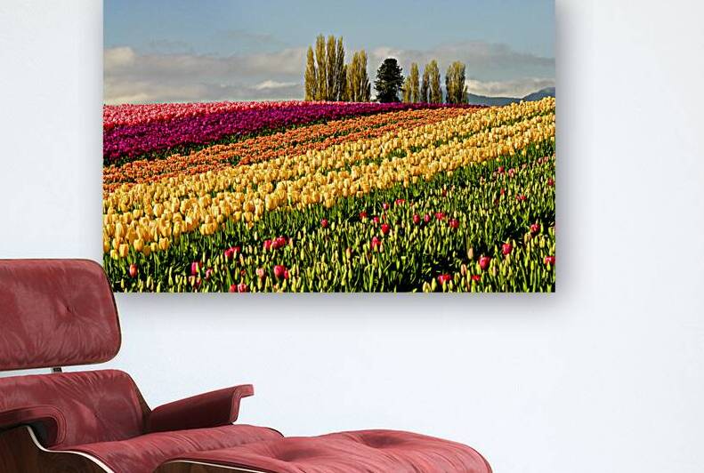 Kaleidoscope Landscape by Legendary Arts Ltd