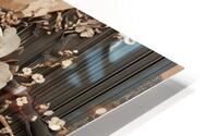 Mocha Honey HD Metal print
