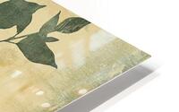 Green Plant HD Metal print