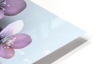 Spring Flowers HD Metal print