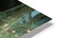 led 0094 HD Metal print