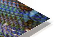 led 0110 HD Metal print