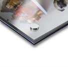 20230331 142021 Acrylic print