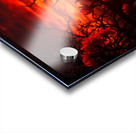 Dramatic Sunset with Glowing Red Flowers and Dark Silhouetted Branches Acrylic print