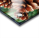 Close-Up of Pine Cones and Evergreen Branches – Nature’s Rustic Beauty Acrylic print