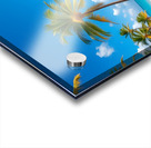 Tropical Paradise: White Sand Beach with Swaying Palm Trees and Yachts Acrylic print