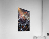 Black Lily with Dewdrops – A Stunning Dark Floral Macro Photography Acrylic Print