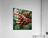 Close-Up of Pine Cones and Evergreen Branches – Nature’s Rustic Beauty Acrylic Print