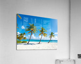 Tropical Paradise: White Sand Beach with Swaying Palm Trees and Yachts Acrylic Print